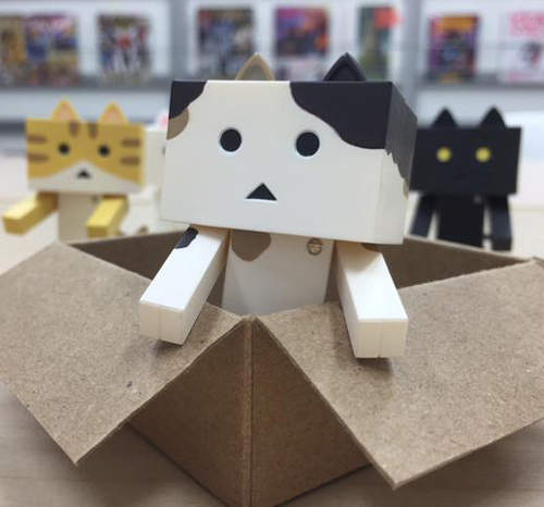 《貓耳阿愣》紙箱人多了耳朵跟尾巴又要可愛破表惹