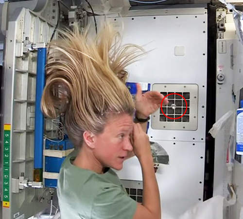 推特話題《太空人的日常糾結》洗頭還要把飄走的水用手撈回來