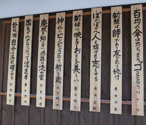 超無奈《銀髮族川柳》難道自己戀愛了？結果是心律不整wwww