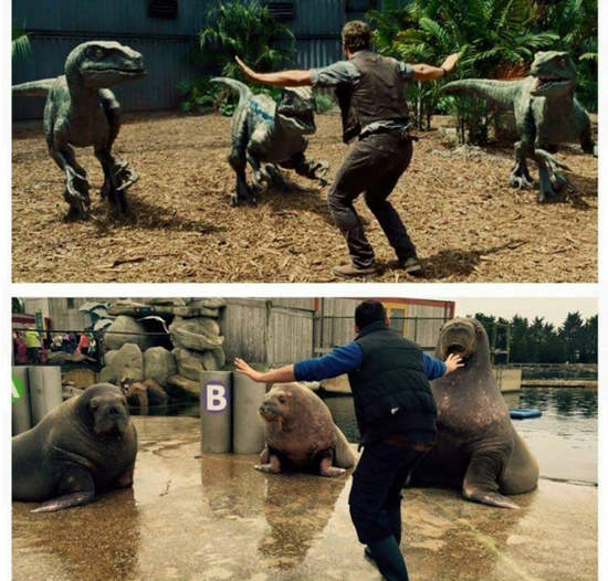 動物園裡大流行《侏羅紀馴獸照》來炫耀自己的手下(?)吧 動物園裡大流行《侏羅紀馴獸照》來炫耀自己的手下(?)吧