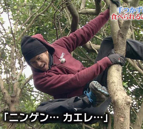 終極選擇 即使在無人島上也絕對有辦法生存的日本藝人ww 終極選擇 即使在無人島上也絕對有辦法生存的日本藝人ww
