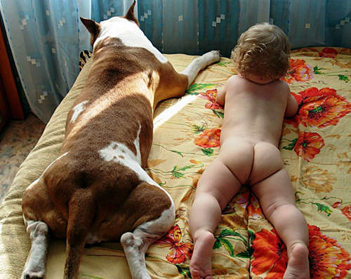 《以為自己是寵物的小朋友》你養的是小寶貝還是毛寶貝啊www