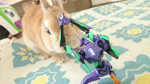 《使徒入侵預想圖》使徒沒來只好改圖作圖假裝它有來好了