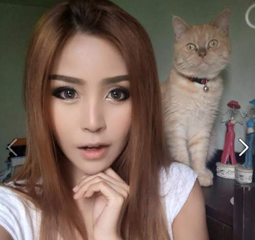 《美眉泰正點》泰國美女aom跟喵星人比一比看誰比較愛搶鏡頭 《美眉泰正點》泰國美女aom跟喵星人比一比看誰比較愛搶鏡頭