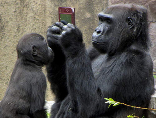 《動物的休息娛樂時間》裡面不會都裝了個人吧（？）