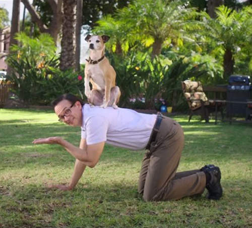 《我家狗就是比你強之科技篇》被惹毛的主人終於秀出他的最強犬