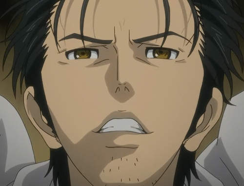 《命運石之門貼圖》看完貼圖等於雷完整部動畫啊……