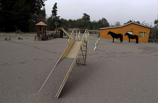 《智利火山爆發》現在小鎮已經變灰燼之城... 《智利火山爆發》現在小鎮已經變灰燼之城...