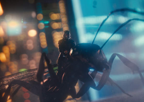 Hot Toys推出《蟻人+安東尼》模型 這是最可愛的飛蟻嗎? Hot Toys推出《蟻人+安東尼》模型 這是最可愛的飛蟻嗎?