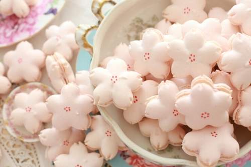 韓國《櫻花馬卡龍》春天就是要粉嫩一下♪