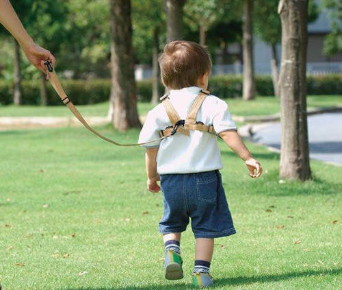 《遛孩子風潮》這年頭父母連牽孩子的手都懶了? 《遛孩子風潮》這年頭父母連牽孩子的手都懶了?