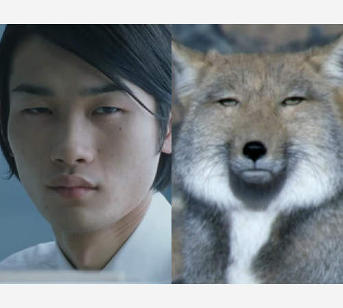 眼神超死的《藏狐相似顏》被說像是該高興還是難過咧www