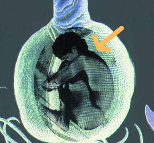 好可怕系列《把人類當養份吃的植物》居然很多人都想自願是怎麼回事