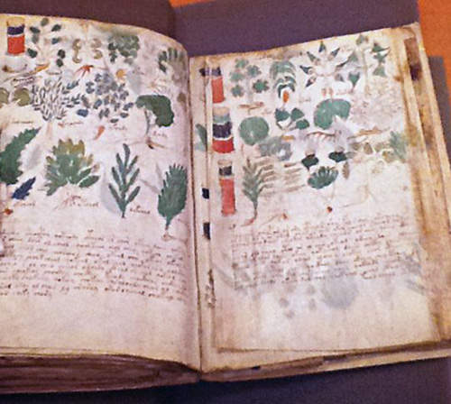 都市傳傳說《15世紀神秘手稿》頂尖解碼專家們都瘋狂解密