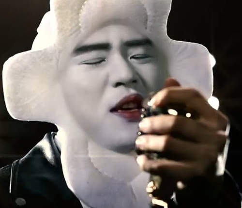 《蝦毀啊衛生棉廣告》蘇菲超熟睡安心褲套頭才是引領時尚的指標 《蝦毀啊衛生棉廣告》蘇菲超熟睡安心褲套頭才是引領時尚的指標