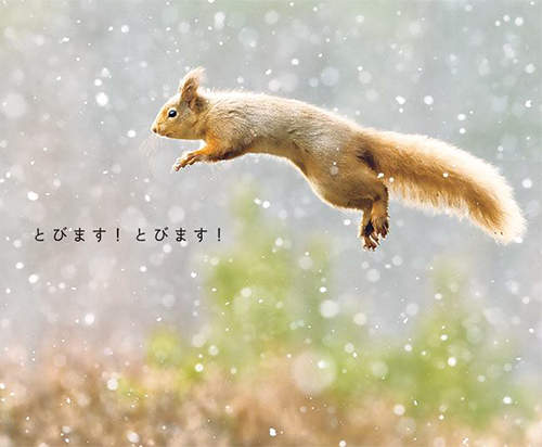 《動物跳跳寫真集》煩惱都給你們跳光光了 ♪ 《動物跳跳寫真集》煩惱都給你們跳光光了 ♪