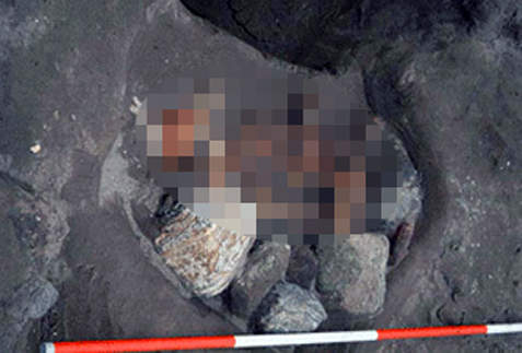 好可怕系列《驚人的考古發現》閱覽注意～謎底都被考古學家解開了