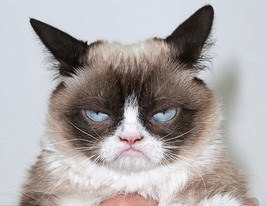 討厭社交嗎~這15句有多少是你的OS? 討厭社交嗎~這15句有多少是你的OS?