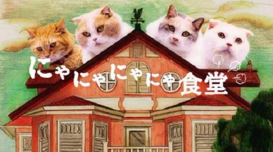 超電波《喵喵喵喵食堂》讓聲優們壞掉的罪魁禍首喵 超電波《喵喵喵喵食堂》讓聲優們壞掉的罪魁禍首喵