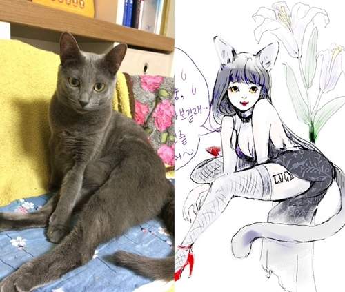 《寵物擬人化》除了貓狗以外鳥魚鼠也行唷 《寵物擬人化》除了貓狗以外鳥魚鼠也行唷