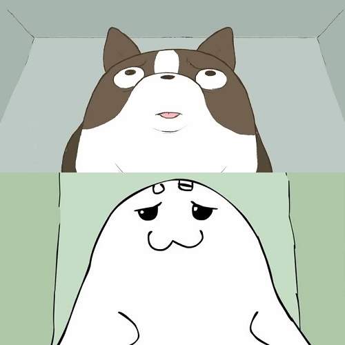 韓版微動畫《煎蛋》這次療癒小狗變成......海獅? 韓版微動畫《煎蛋》這次療癒小狗變成......海獅?