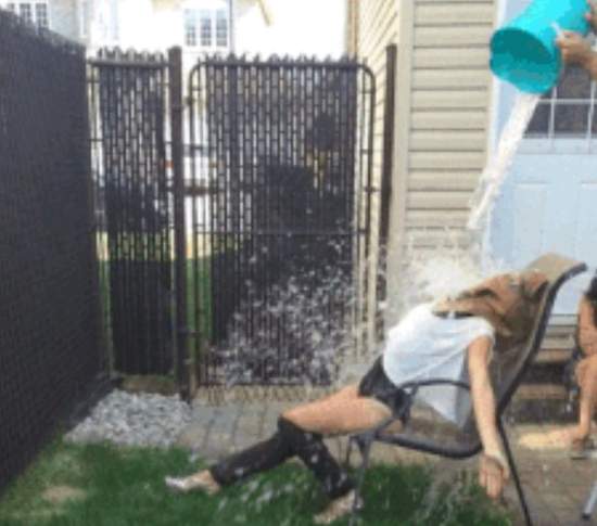 《2014我們一起轉發的14件事》沒轉發可能也按過讚