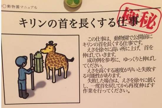 《動物園飼育員的秘密任務》原來熊貓是這樣染色的？