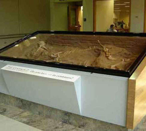 都市傳傳說《希臘神話中的魔幻生物》引發熱議的驚人骸骨究竟是？