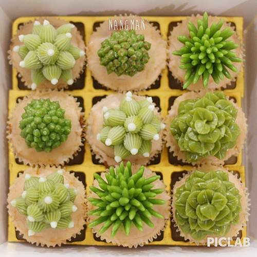 《偽仙人掌杯子蛋糕》這次不讓你刺刺der的唷 《偽仙人掌杯子蛋糕》這次不讓你刺刺der的唷