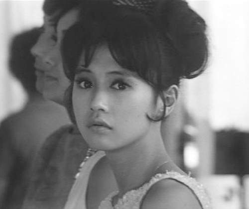 《日本老牌女星的少女時代》網友心目中年輕時最正的又是哪位呢? 《日本老牌女星的少女時代》網友心目中年輕時最正的又是哪位呢?