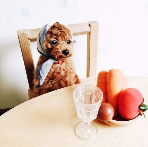 《一個人的扮家家酒》好像有股淡淡的憂傷阿......... 《一個人的扮家家酒》好像有股淡淡的憂傷阿.........