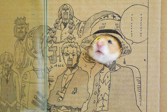 主人的新樂趣？《倉鼠的Cosplay》整個萌萌der