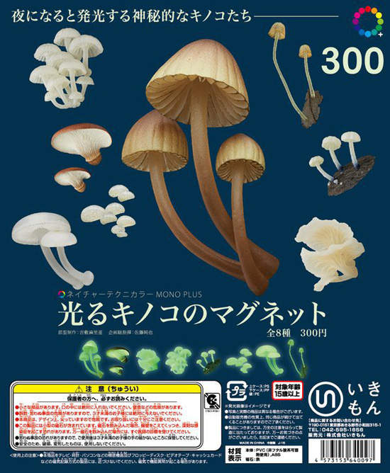 《夜光香菇磁鐵》相當有「長香菇」的感覺 《夜光香菇磁鐵》相當有「長香菇」的感覺