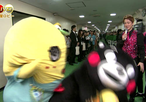 《熊本熊爆笑動圖》各種出糗的哭馬萌太好笑惹www 《熊本熊爆笑動圖》各種出糗的哭馬萌太好笑惹www