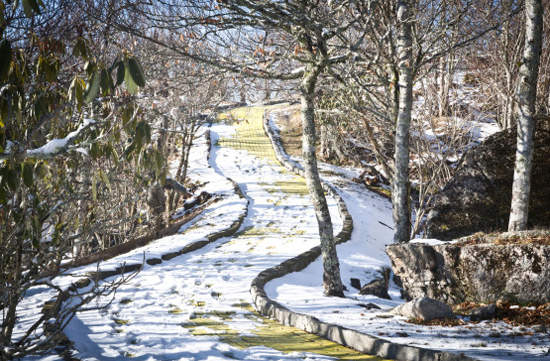 廢棄《綠野仙蹤樂園》真的變成仙境之國了 廢棄《綠野仙蹤樂園》真的變成仙境之國了