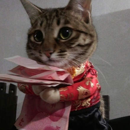 《喵星人要紅包》不用幫我存銀行～我可以自己保管XD