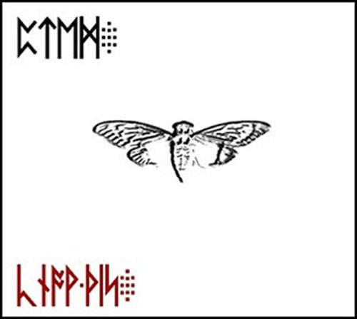 都市傳傳說《蟬3301》被譽為史上最難解的網路謎題之一 都市傳傳說《蟬3301》被譽為史上最難解的網路謎題之一