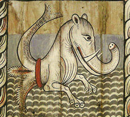  好可怕系列《12到16世紀出現在地圖上的十二種神秘海怪》現在覺得有趣但當時是很可怕的