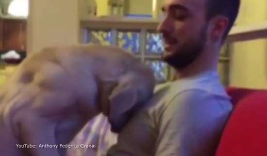 《抱抱求原諒的狗》沒關係不管做了什麼我都原諒你（融化）