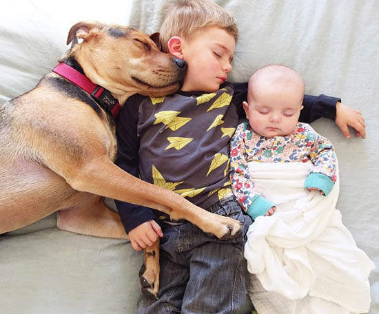 《小貝比與狗睡友》睡飽飽家族增加新成員Zzz 《小貝比與狗睡友》睡飽飽家族增加新成員Zzz