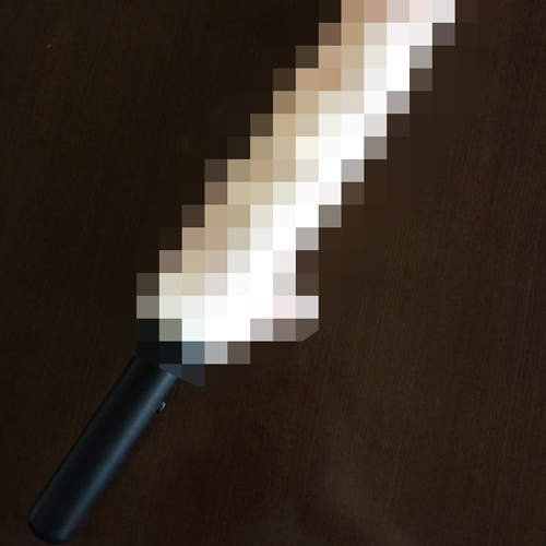 《食物博物館猥褻紀念品》怎麼看都像是某種插進〇〇的東西……