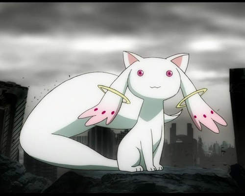 《最做作的腹黑動漫角色 TOP 20》切開來裡面都是黑色的 《最做作的腹黑動漫角色 TOP 20》切開來裡面都是黑色的