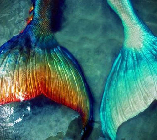 都市傳傳說《蘇格蘭超有名的美人魚》她的名字叫做 Deerness 都市傳傳說《蘇格蘭超有名的美人魚》她的名字叫做 Deerness