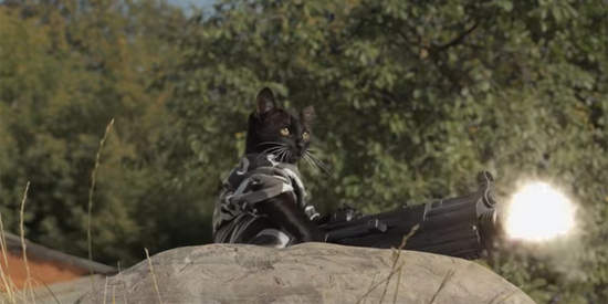 《貓咪大戰殭屍》溫馨治癒與壓力釋放一次滿足!? 《貓咪大戰殭屍》溫馨治癒與壓力釋放一次滿足!?