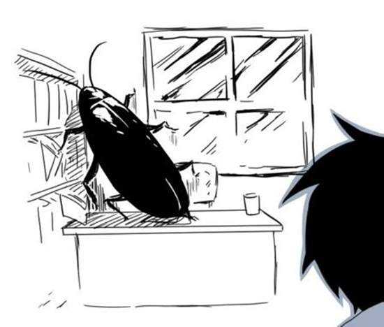 都市傳傳說《韓國短篇傳說》蟑螂可以讓痘痘消失? 都市傳傳說《韓國短篇傳說》蟑螂可以讓痘痘消失?