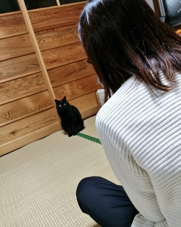 《過年小辛酸》太久沒回去就被老家的狗狗貓貓給遺忘了...