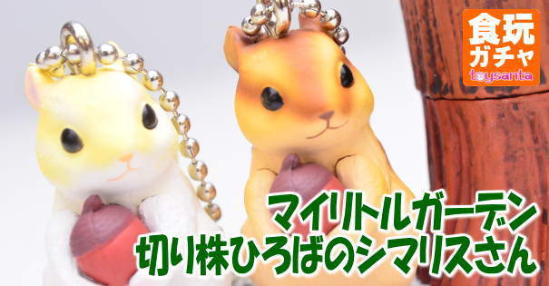 《悲劇的花栗鼠轉蛋》運氣衰到極點真的會想哭……