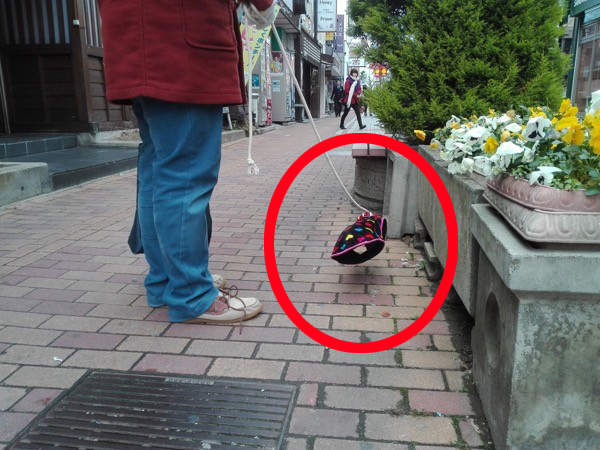 日本街頭《透明犬》出沒 明明聽見叫聲卻看不見狗狗蹤影!? 日本街頭《透明犬》出沒 明明聽見叫聲卻看不見狗狗蹤影!?