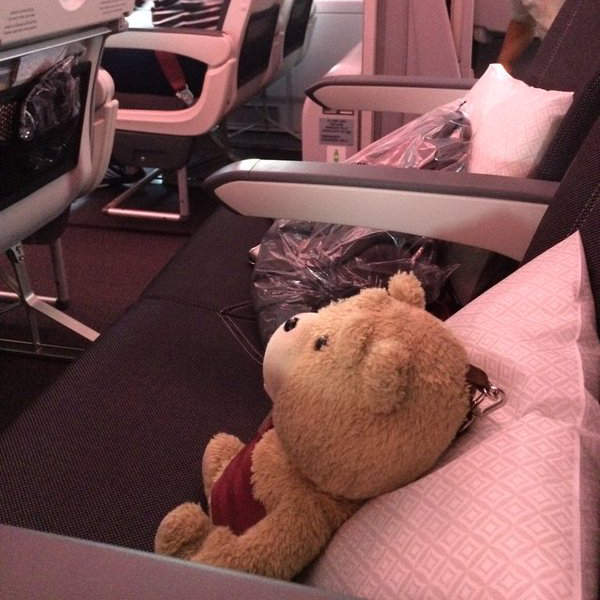 《空姐的神對應》讓熊麻吉玩偶坐在空位上卻發生意想不到的結果!? 《空姐的神對應》讓熊麻吉玩偶坐在空位上卻發生意想不到的結果!?