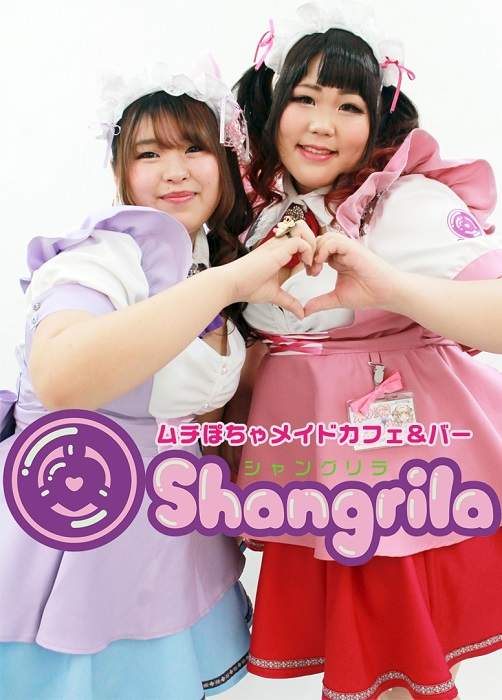 重量級的《肉感女僕咖啡廳》棉花糖女孩也是很有市場的 重量級的《肉感女僕咖啡廳》棉花糖女孩也是很有市場的